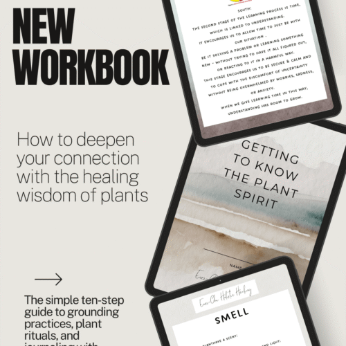 🌿 Plant Spirit Workbook — Digital Download 🌿
